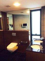 The Legend (D10), Condominium #148347362